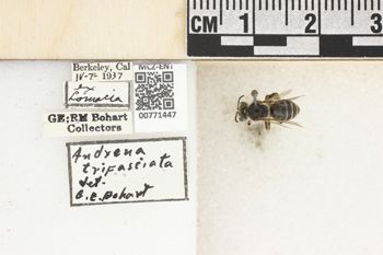 Media type: image;   Entomology 771447 Aspect: Labels